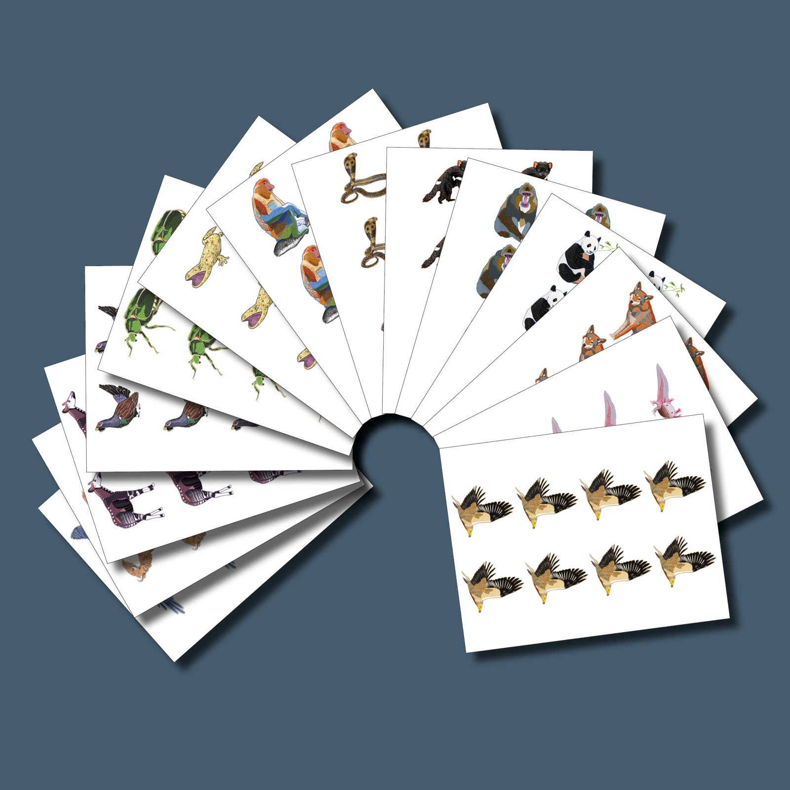 Augmented reality animals to print