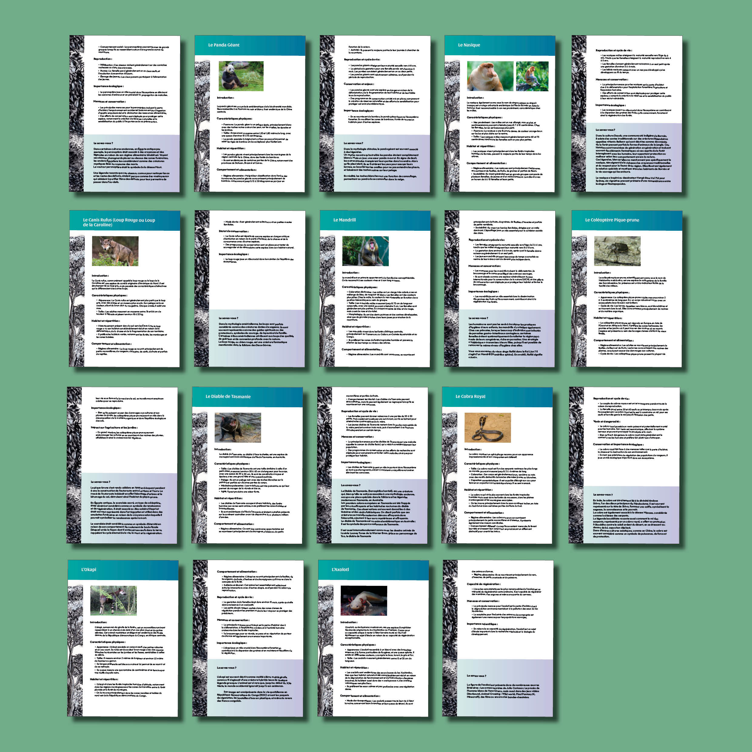 Educational fact sheets for each animal