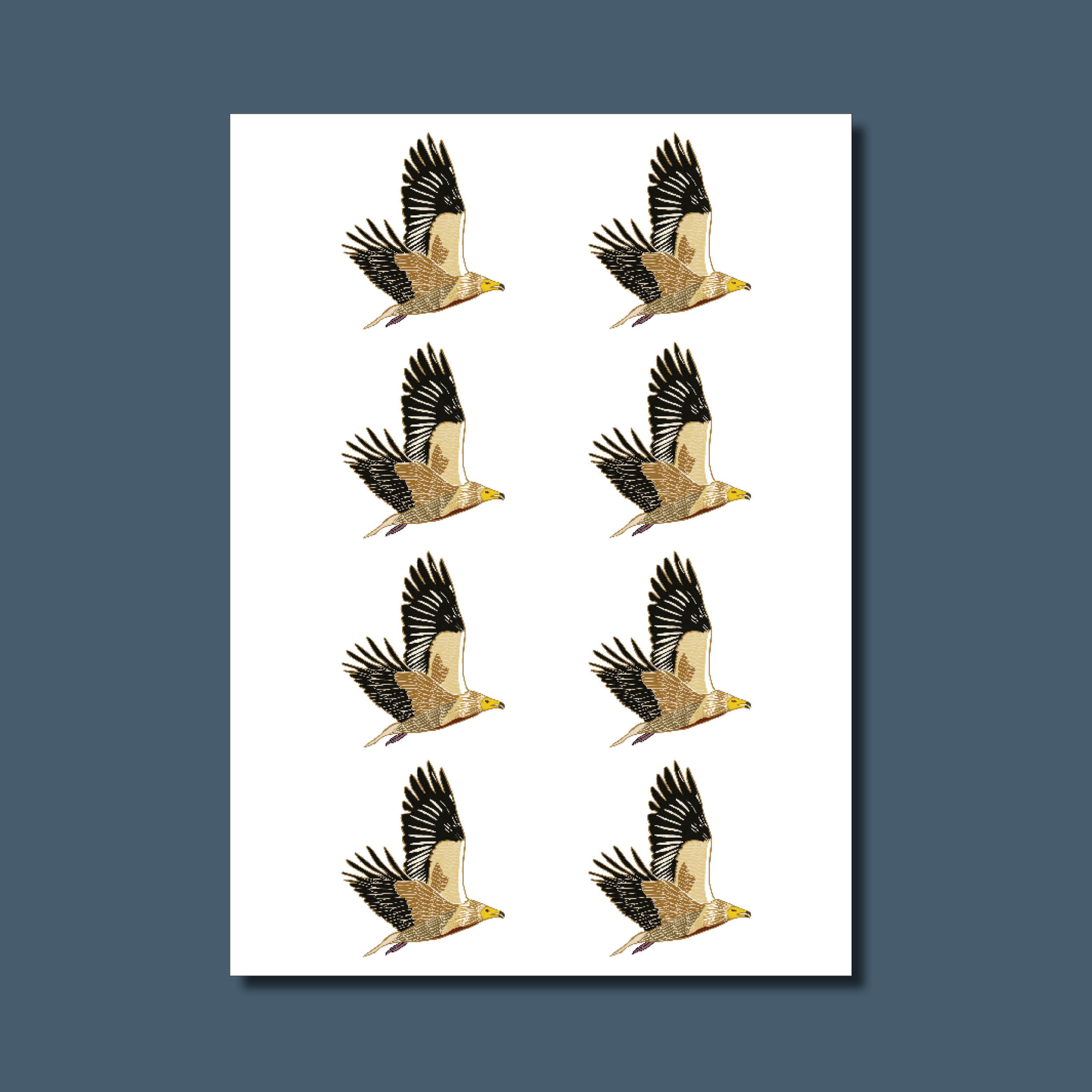 Augmented reality animals to print