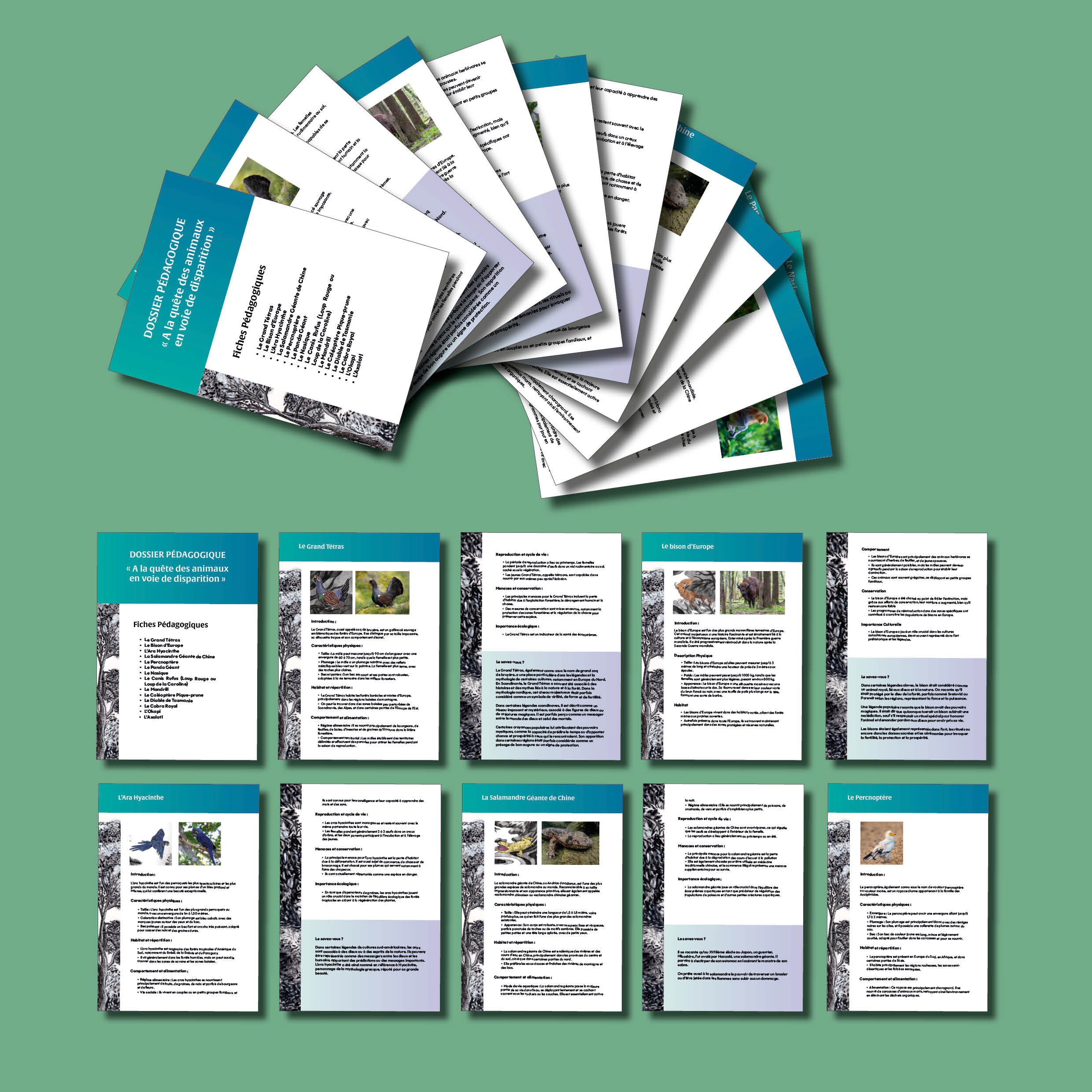 Educational fact sheets for each animal